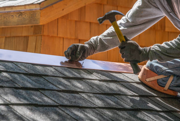 Professional Roofing service in Burton, SC